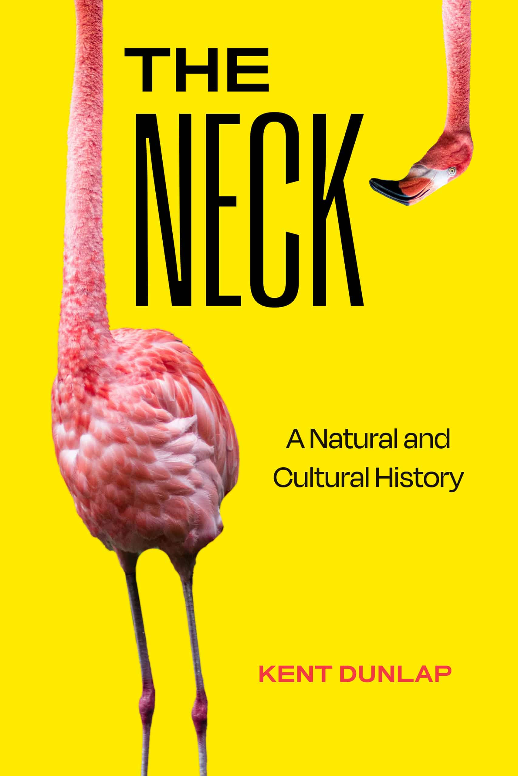 Youtube video still for The Neck: A Natural and Cultural History